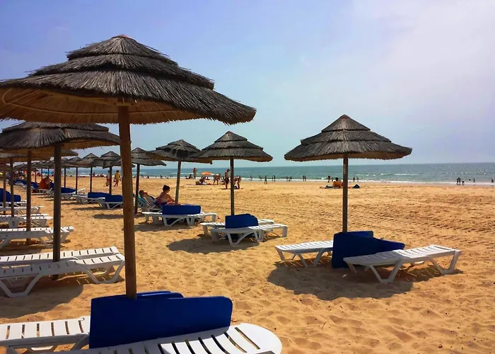 Pacifico, O Pomar Tavira