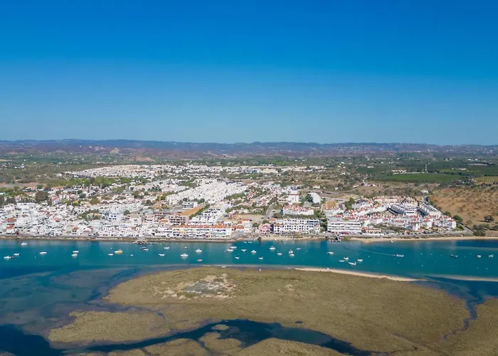 Pacifico, O Pomar