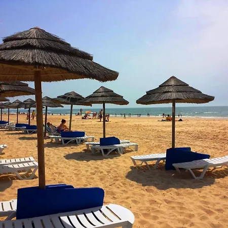 Pacifico, O Pomar Tavira