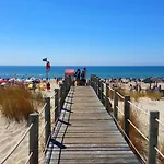 Pacifico, O Pomar * טאווירה
